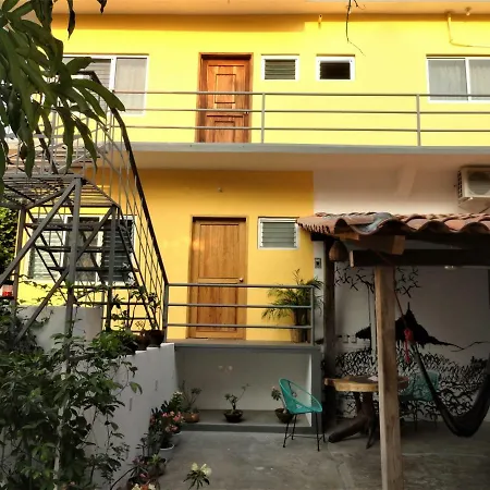 Paziflora Hostel -Starlink--3
